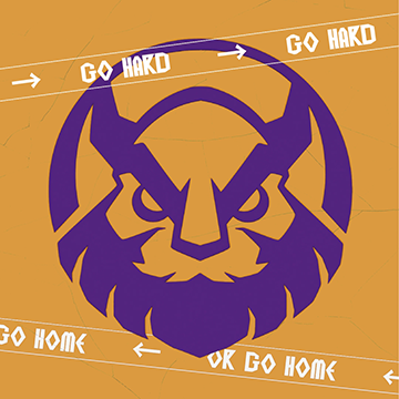 MGN Vikings logo