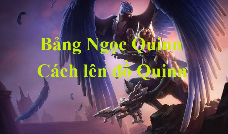 Quinn visual data 4