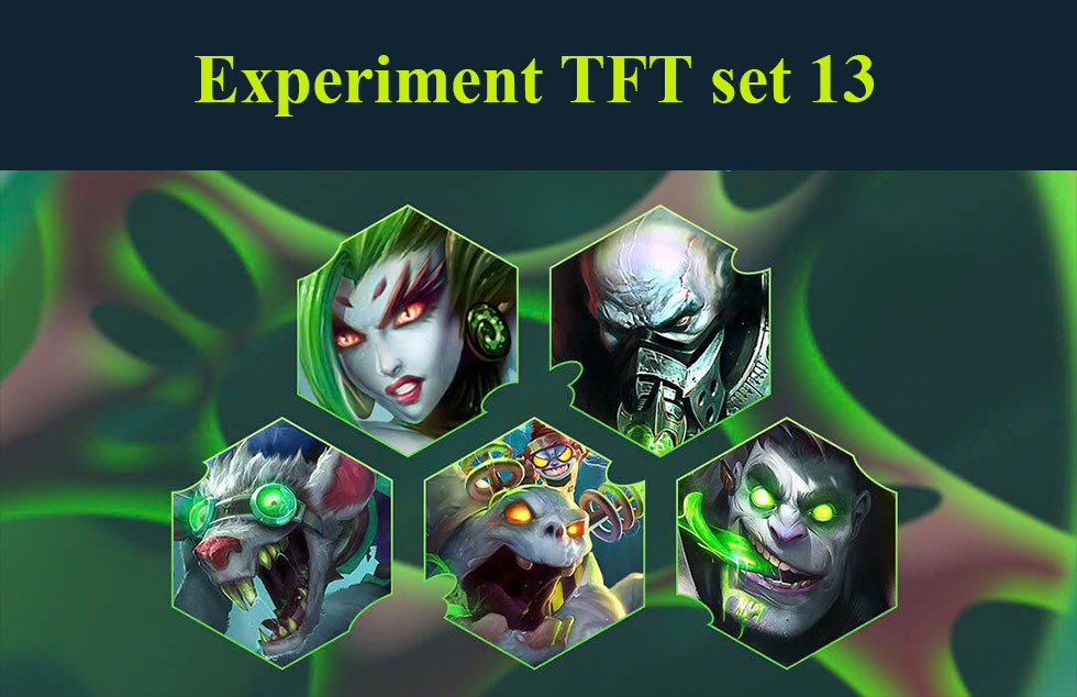 Experiment TFT set 13: Build team comps