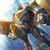 profile or pet icon
