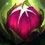 Zyra